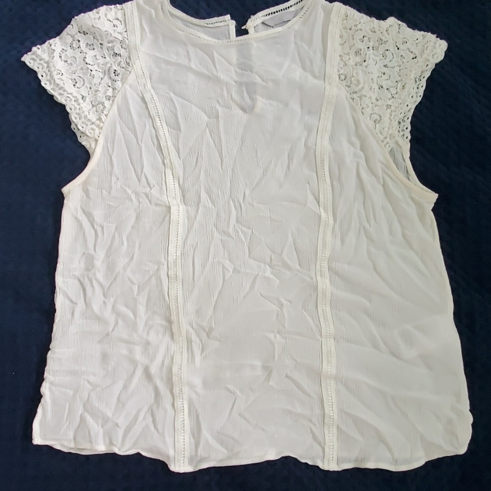 Lace sleeved Top